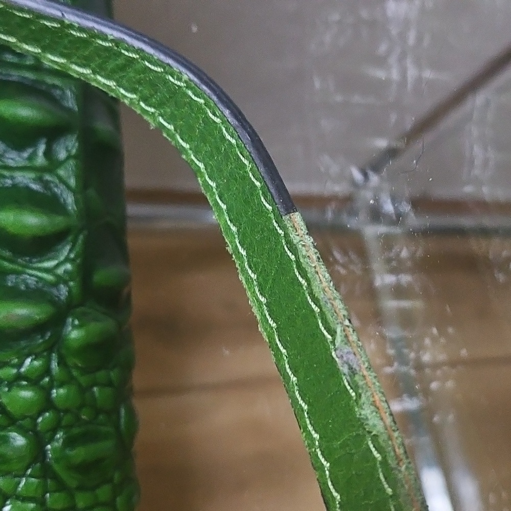Pijushi Crocodile Pattern Green Satchel Bag - Picture 9 of 9